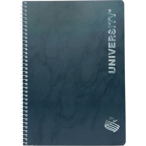 Τετράδιο Σπιράλ SKAG University Silver 17x25cm 2 θεμάτων 100 Φύλλων  (292498) (Διάφορα χρώματα)